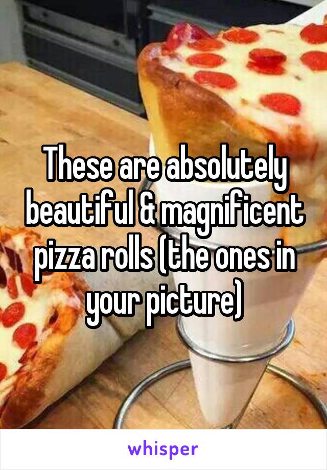 These are absolutely beautiful & magnificent pizza rolls (the ones in your picture)