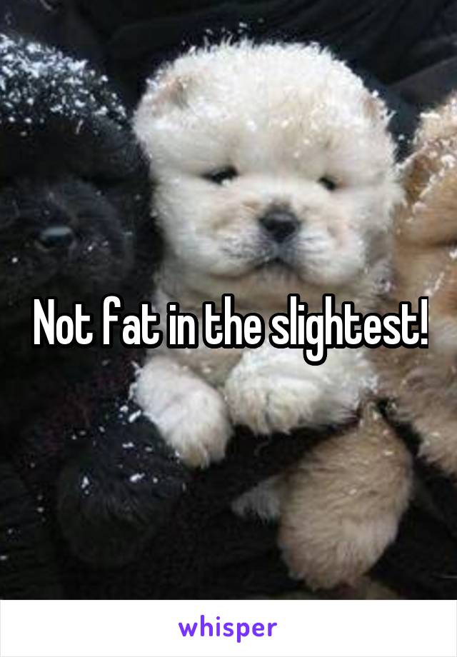 Not fat in the slightest!
