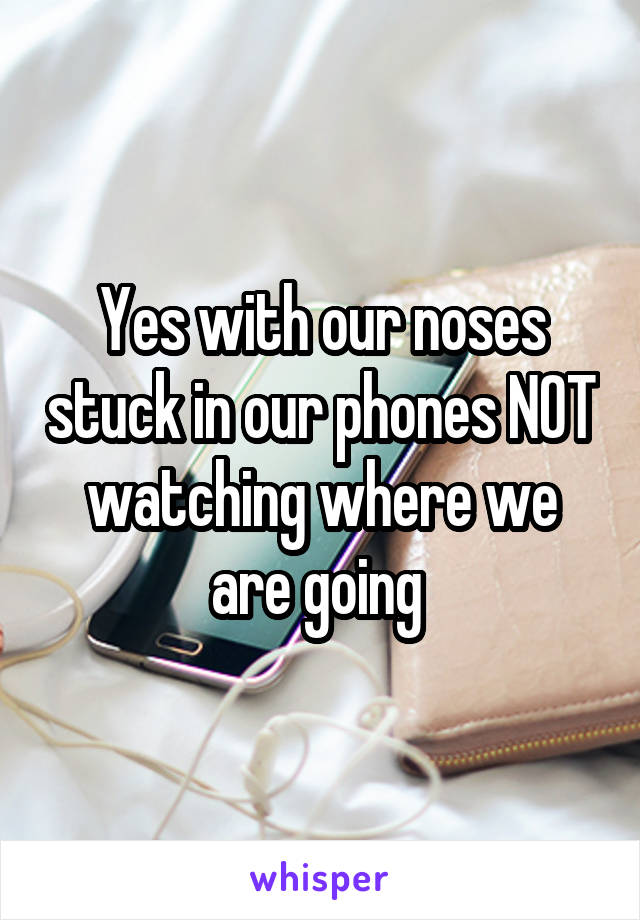 Yes with our noses stuck in our phones NOT watching where we are going 