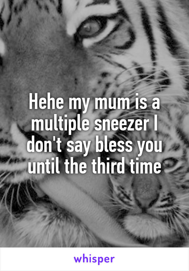 Hehe my mum is a multiple sneezer I don't say bless you until the third time