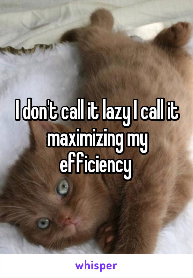 I don't call it lazy I call it maximizing my efficiency 