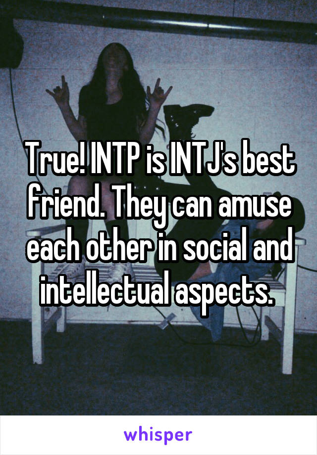True! INTP is INTJ's best friend. They can amuse each other in social and intellectual aspects. 