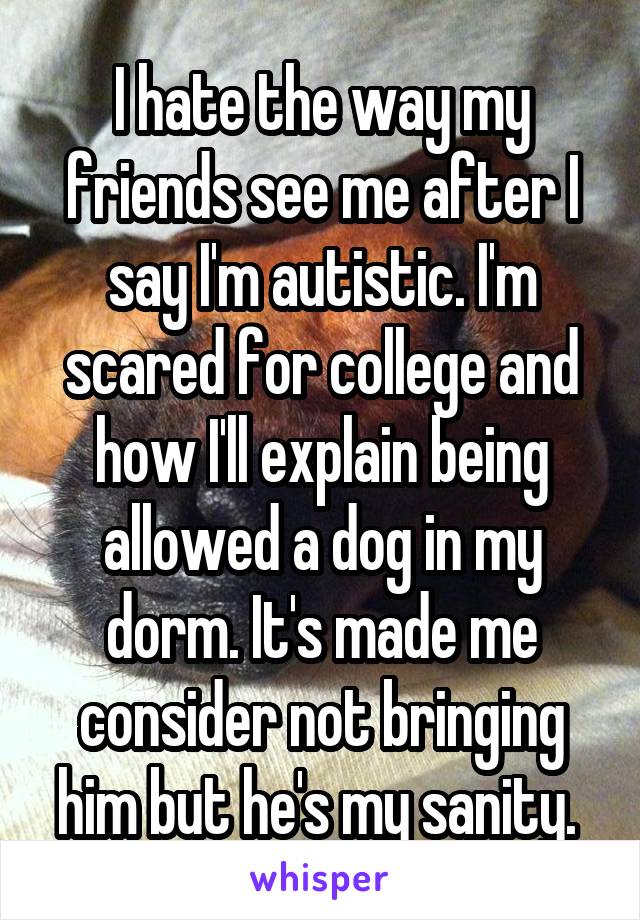 I hate the way my friends see me after I say I'm autistic. I'm scared for college and how I'll explain being allowed a dog in my dorm. It's made me consider not bringing him but he's my sanity. 