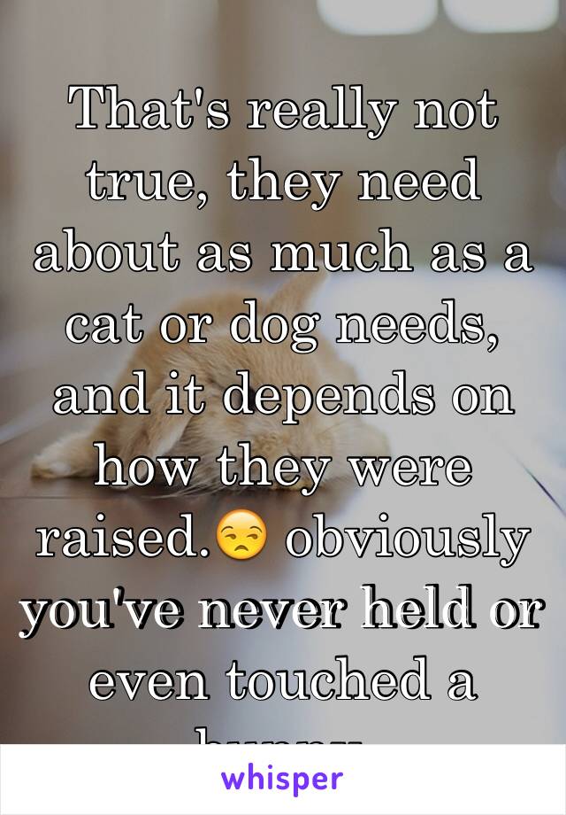 That's really not true, they need about as much as a cat or dog needs, and it depends on how they were raised.😒 obviously you've never held or even touched a bunny.