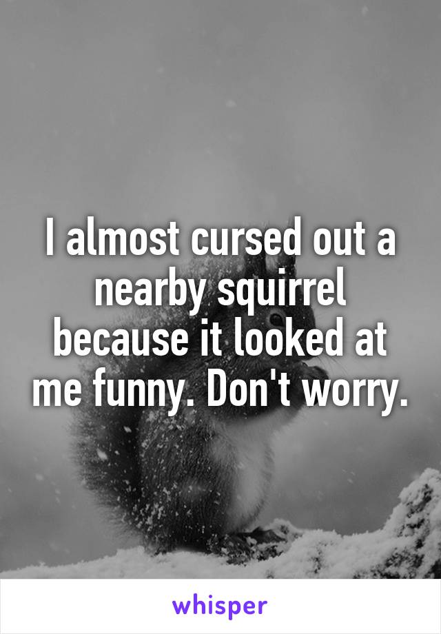 I almost cursed out a nearby squirrel because it looked at me funny. Don't worry.