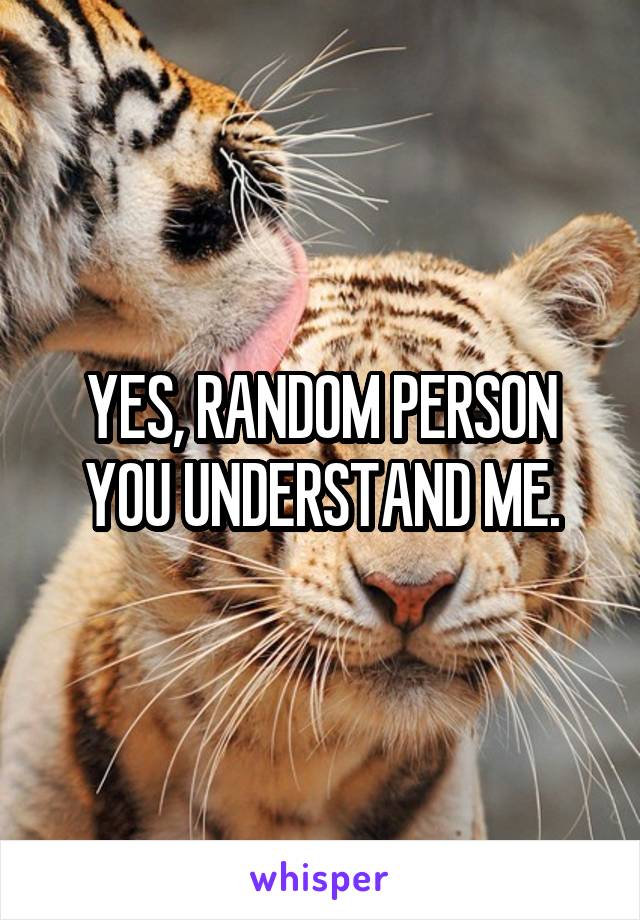 YES, RANDOM PERSON YOU UNDERSTAND ME.