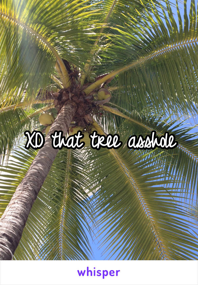 XD that tree asshole