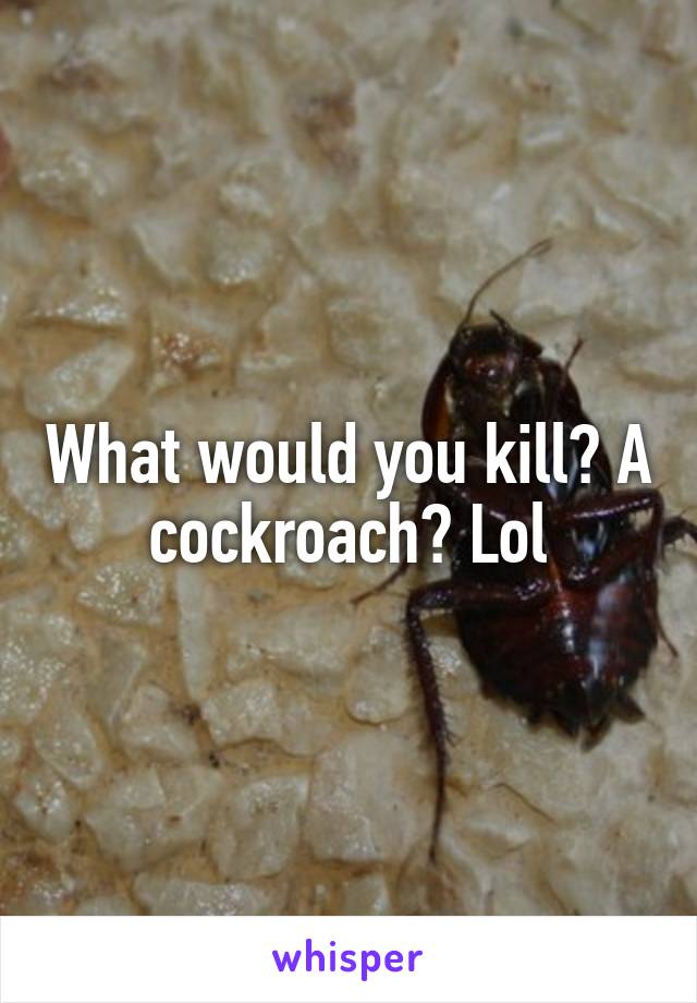 What would you kill? A cockroach? Lol