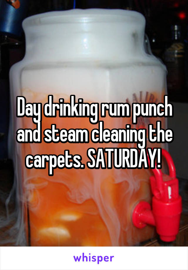 Day drinking rum punch and steam cleaning the carpets. SATURDAY! 