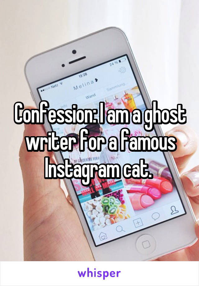 Confession: I am a ghost writer for a famous Instagram cat. 