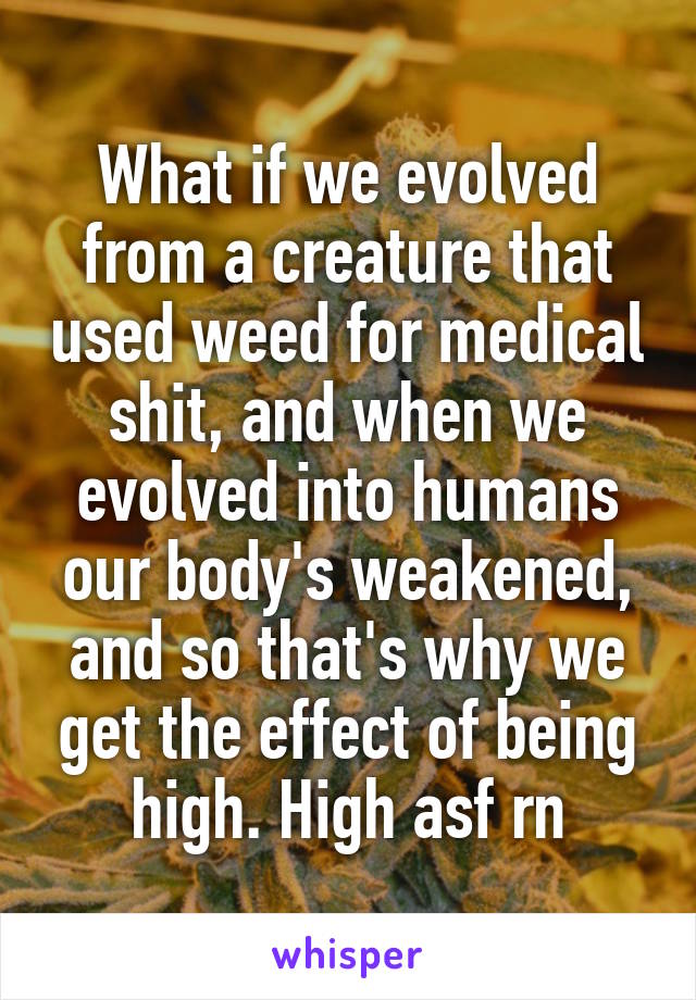 What if we evolved from a creature that used weed for medical shit, and when we evolved into humans our body's weakened, and so that's why we get the effect of being high. High asf rn