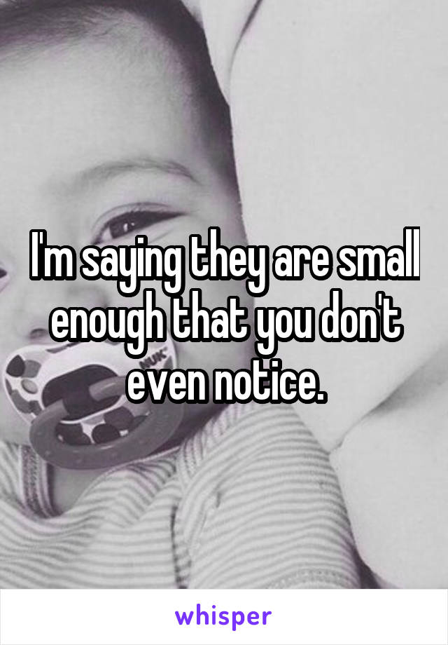 I'm saying they are small enough that you don't even notice.