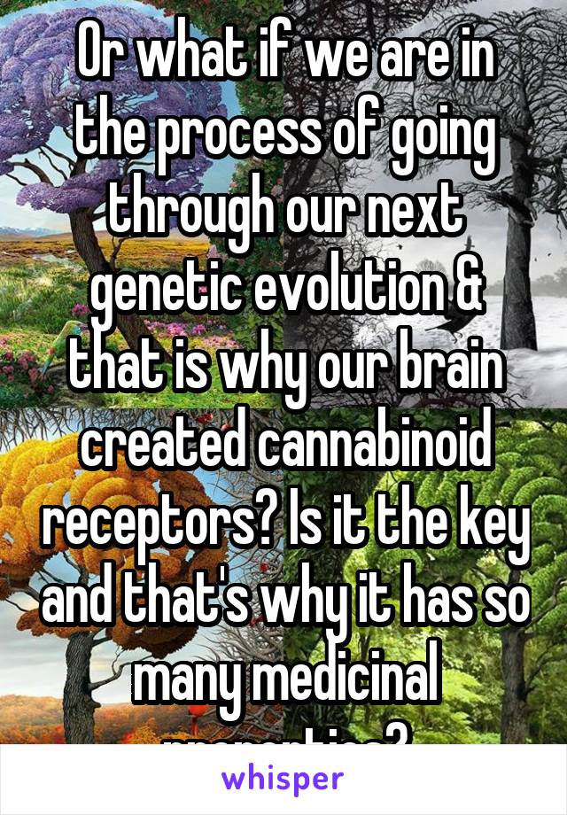 Or what if we are in the process of going through our next genetic evolution & that is why our brain created cannabinoid receptors? Is it the key and that's why it has so many medicinal properties?
