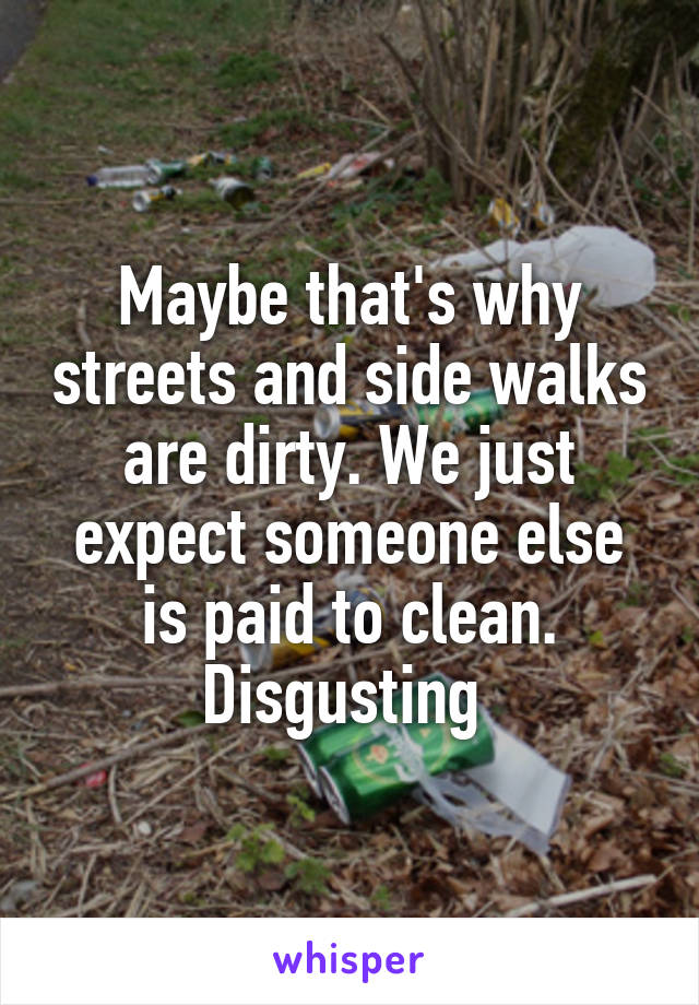 Maybe that's why streets and side walks are dirty. We just expect someone else is paid to clean. Disgusting 