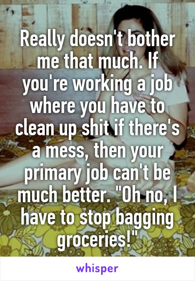 Really doesn't bother me that much. If you're working a job where you have to clean up shit if there's a mess, then your primary job can't be much better. "Oh no, I have to stop bagging groceries!"