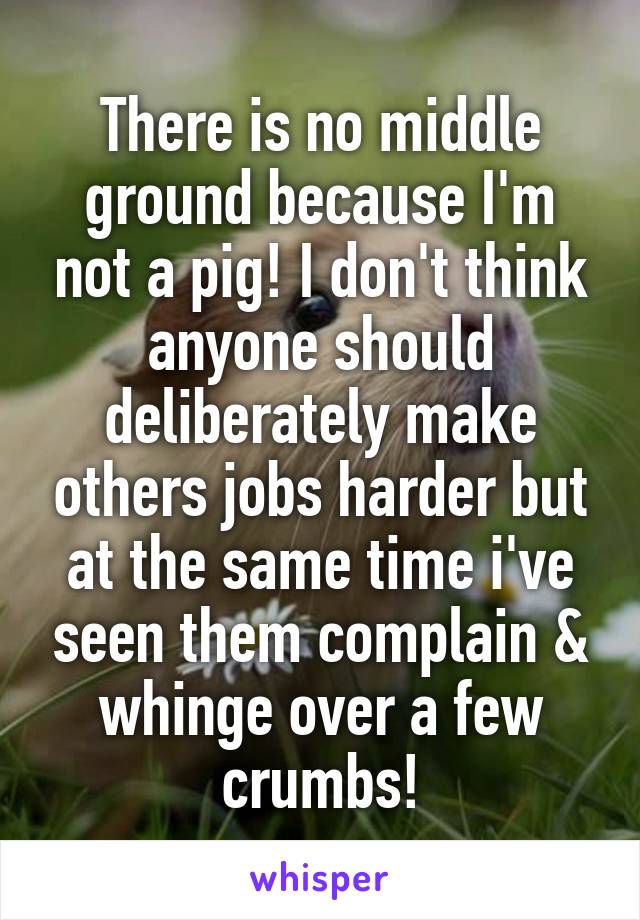 There is no middle ground because I'm not a pig! I don't think anyone should deliberately make others jobs harder but at the same time i've seen them complain & whinge over a few crumbs!