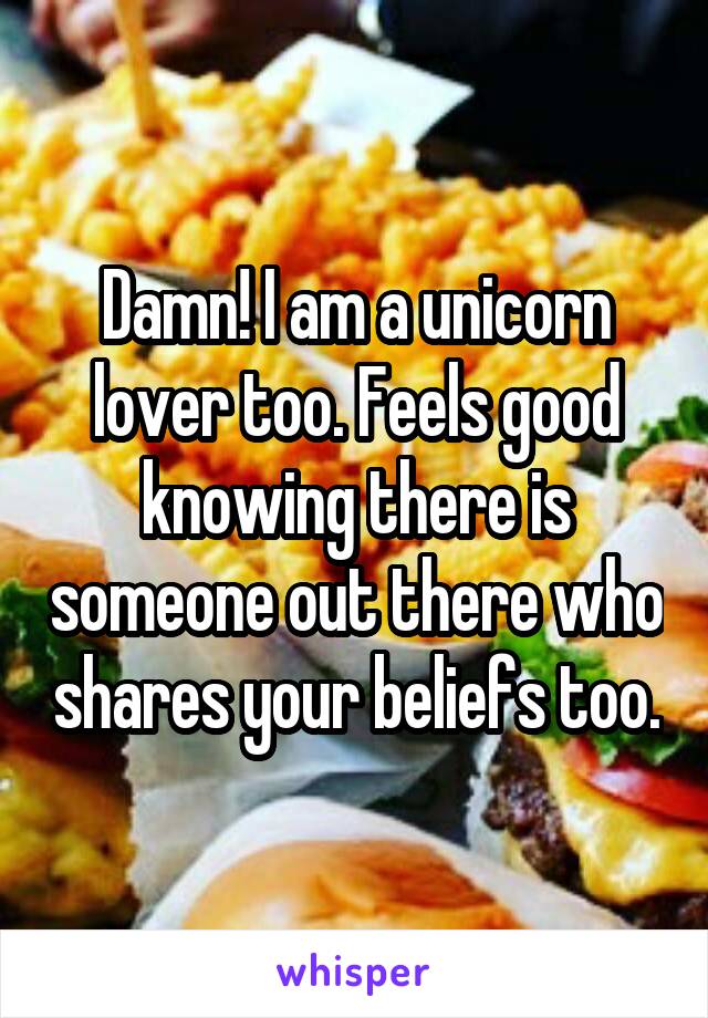 Damn! I am a unicorn lover too. Feels good knowing there is someone out there who shares your beliefs too.