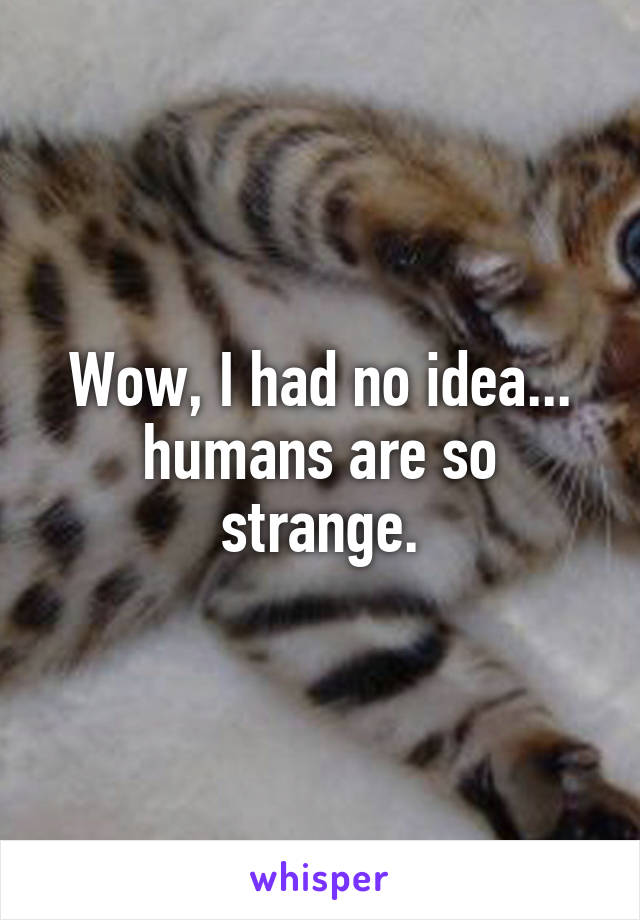 Wow, I had no idea... humans are so strange.