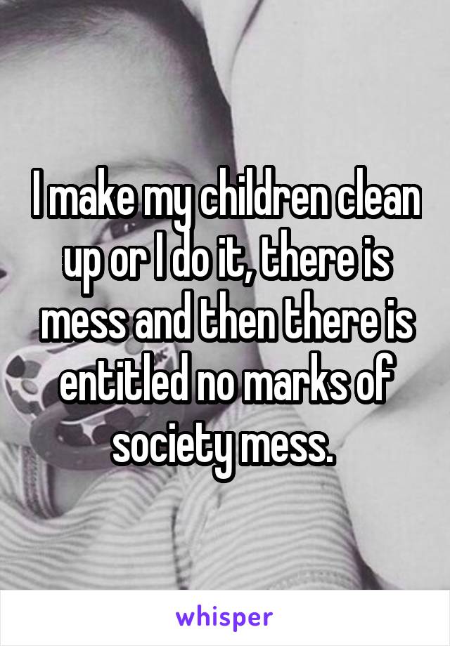 I make my children clean up or I do it, there is mess and then there is entitled no marks of society mess. 