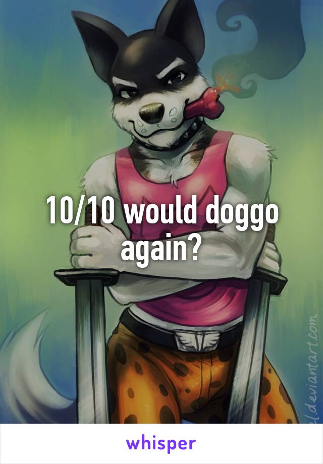 10/10 would doggo again?