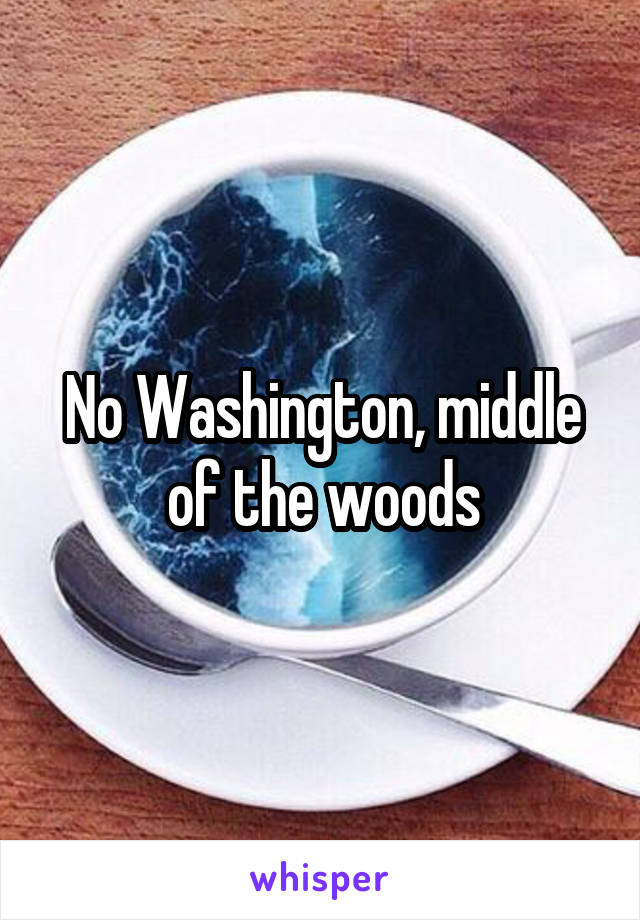 No Washington, middle of the woods