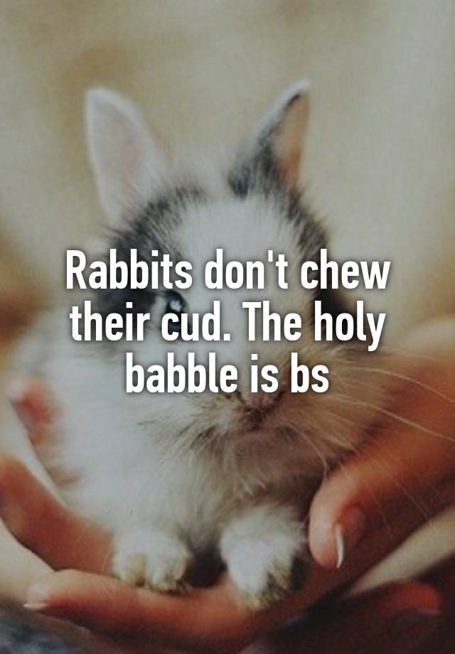 Rabbits don't chew their cud. The holy babble is bs