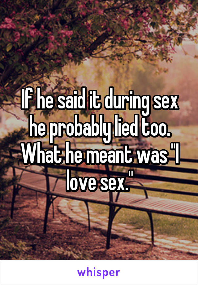 If he said it during sex he probably lied too. What he meant was "I love sex."