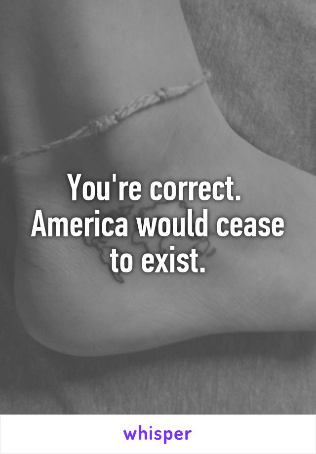 You're correct.  America would cease to exist.