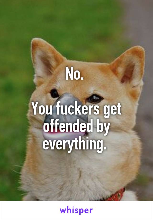 No. 

You fuckers get offended by everything. 