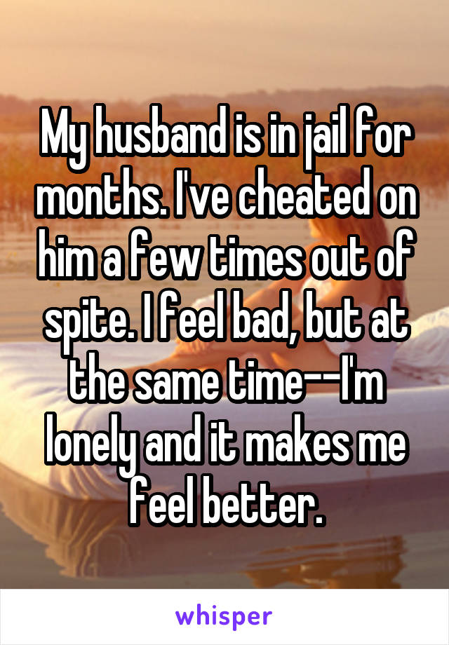 My husband is in jail for months. I've cheated on him a few times out of spite. I feel bad, but at the same time--I'm lonely and it makes me feel better.