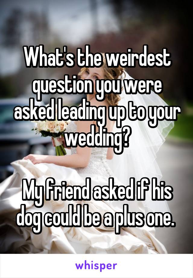 What's the weirdest question you were asked leading up to your wedding?

My friend asked if his dog could be a plus one. 