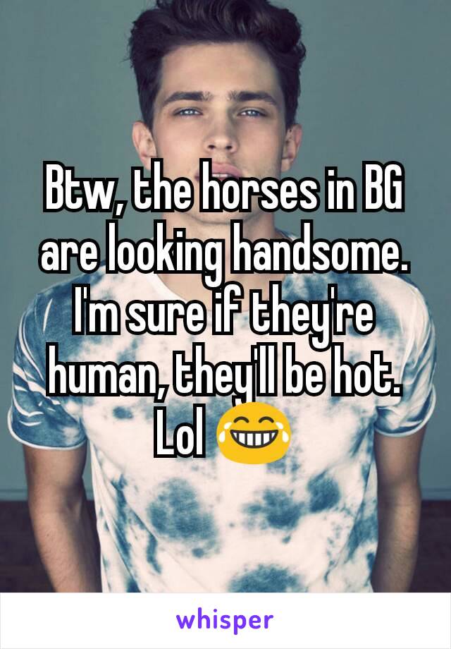 Btw, the horses in BG are looking handsome. I'm sure if they're human, they'll be hot.
Lol 😂