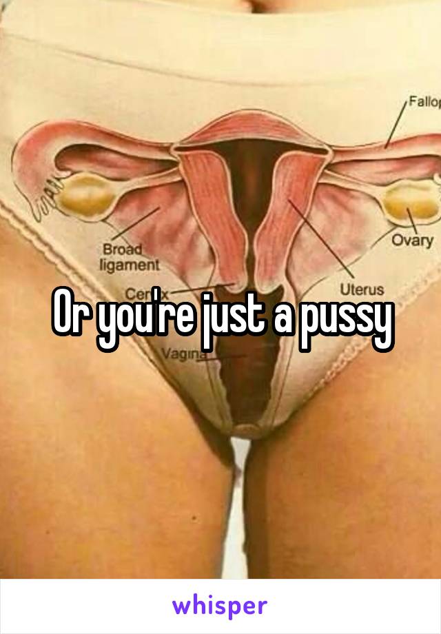 Or you're just a pussy