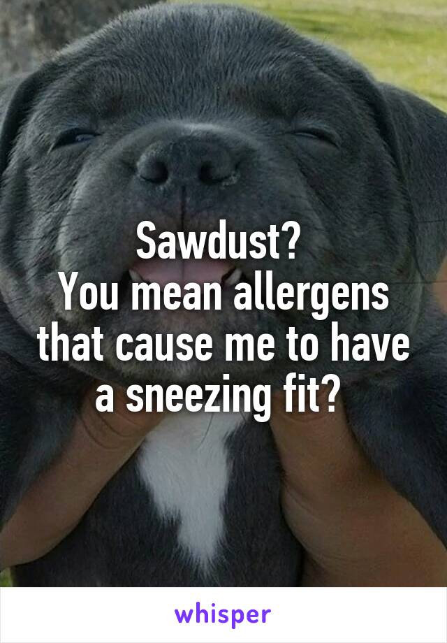 Sawdust? 
You mean allergens that cause me to have a sneezing fit? 