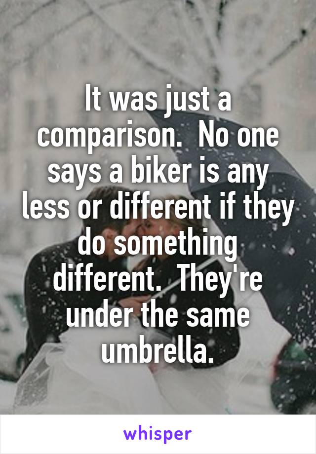 It was just a comparison.  No one says a biker is any less or different if they do something different.  They're under the same umbrella.