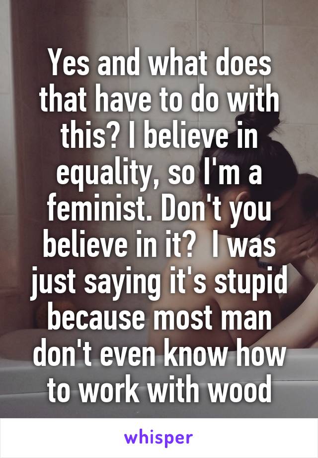 Yes and what does that have to do with this? I believe in equality, so I'm a feminist. Don't you believe in it?  I was just saying it's stupid because most man don't even know how to work with wood