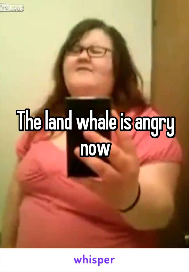 The land whale is angry now