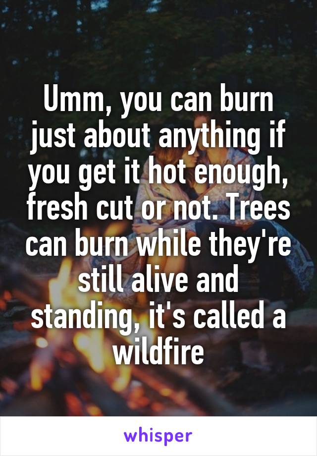 Umm, you can burn just about anything if you get it hot enough, fresh cut or not. Trees can burn while they're still alive and standing, it's called a wildfire