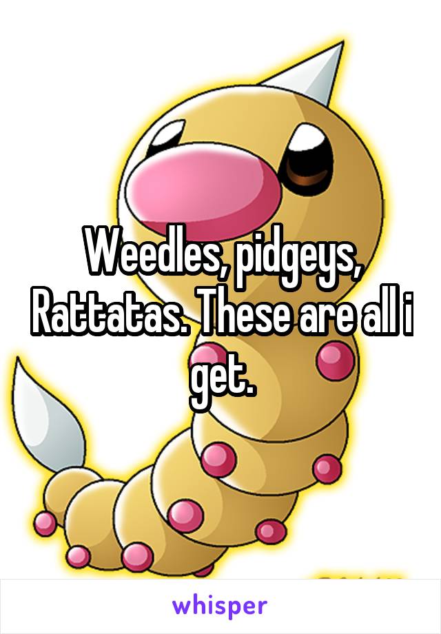 Weedles, pidgeys, Rattatas. These are all i get.