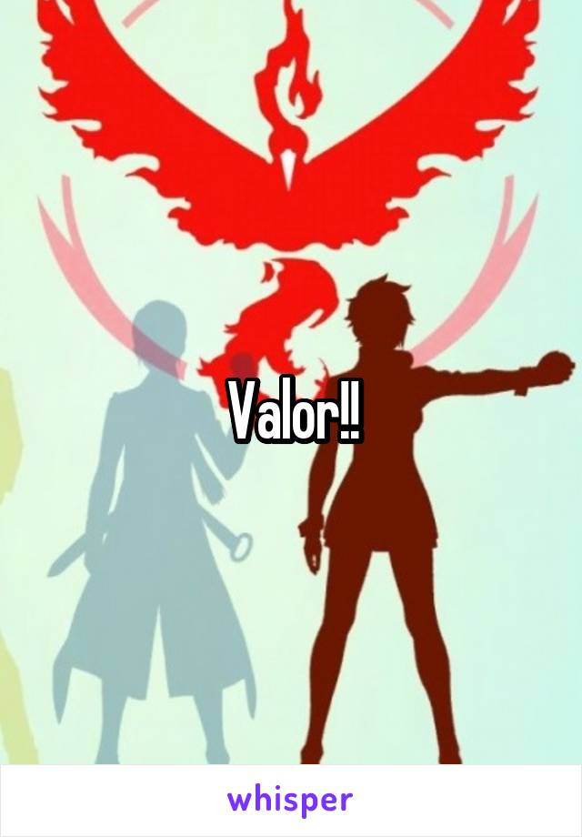 What Does Valor Mean In Siege