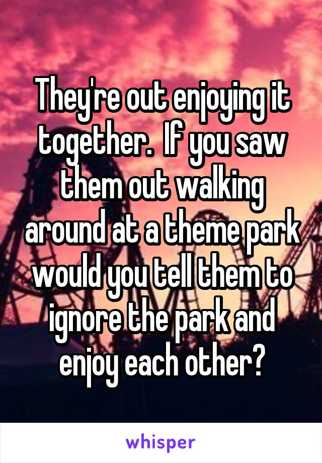 They're out enjoying it together.  If you saw them out walking around at a theme park would you tell them to ignore the park and enjoy each other?