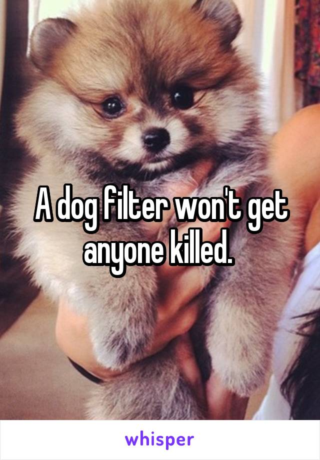A dog filter won't get anyone killed. 