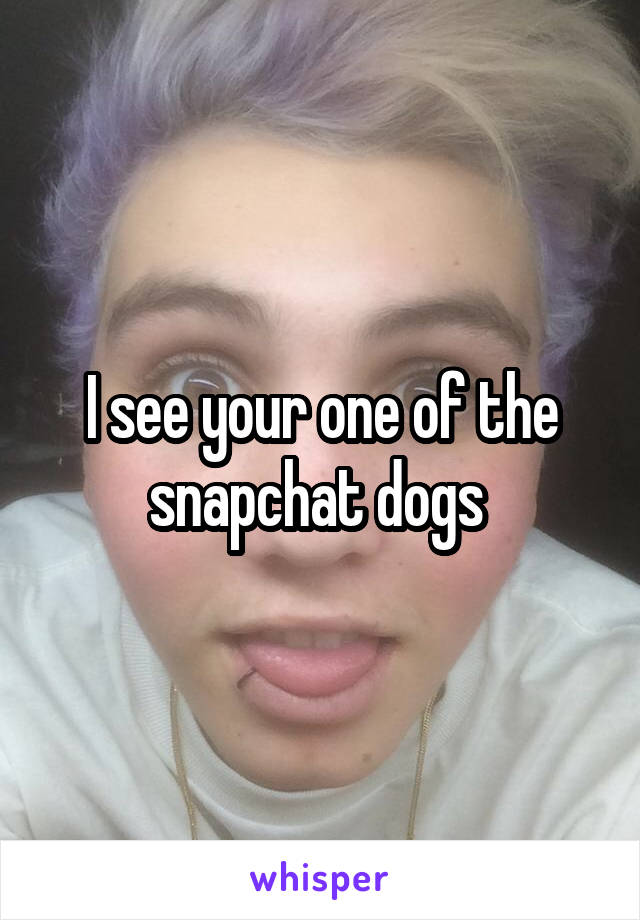 I see your one of the snapchat dogs 