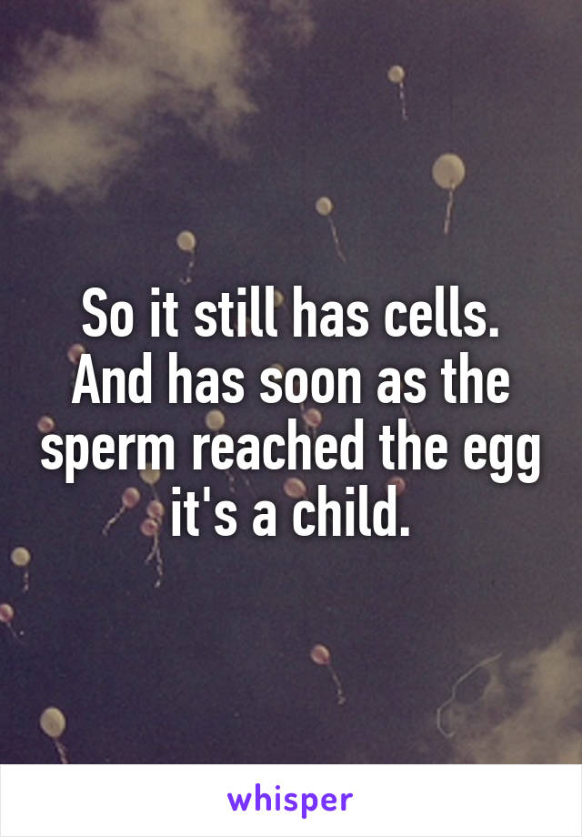 So it still has cells. And has soon as the sperm reached the egg it's a child.
