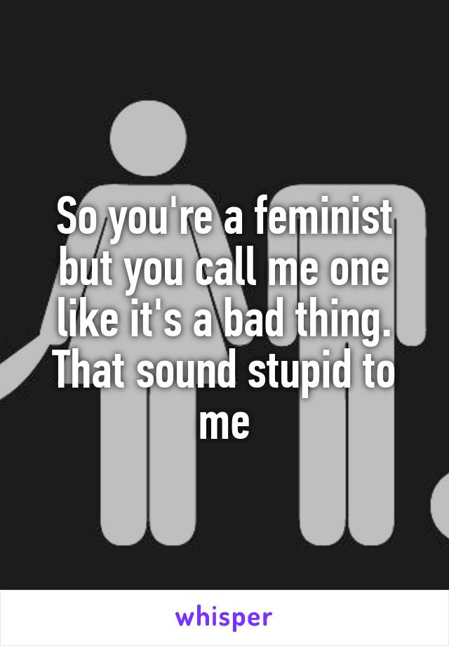 So you're a feminist but you call me one like it's a bad thing. That sound stupid to me