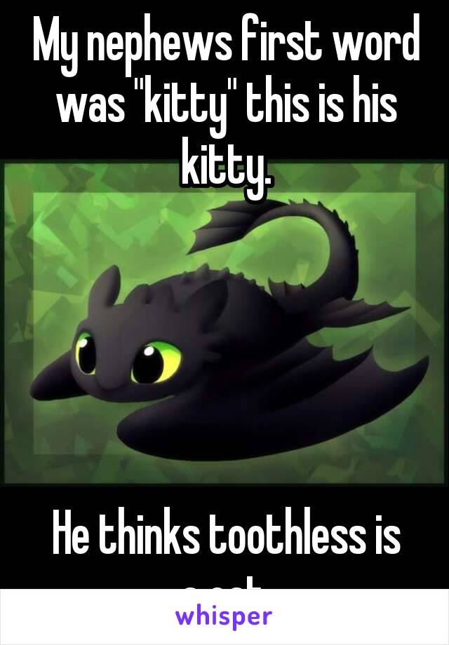 My nephews first word was "kitty" this is his kitty.





He thinks toothless is a cat.