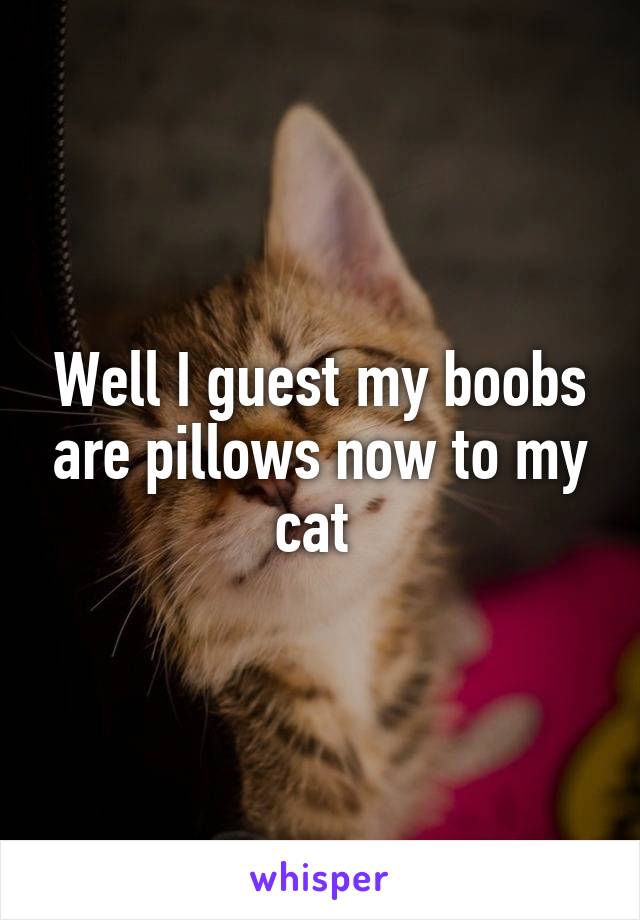 Well I guest my boobs are pillows now to my cat 