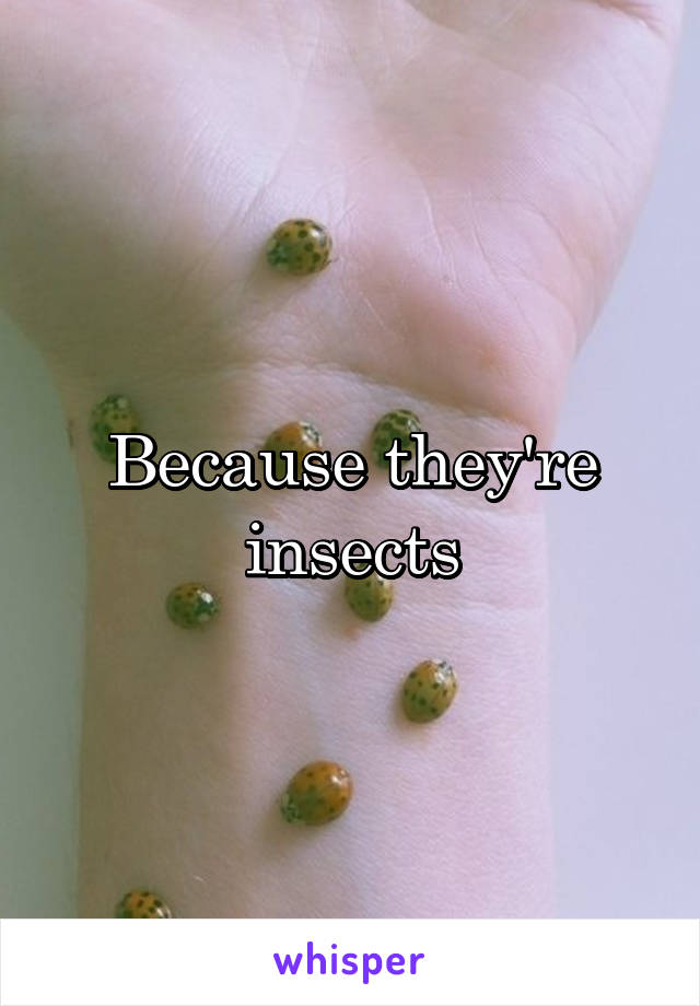 Because They Re Insects