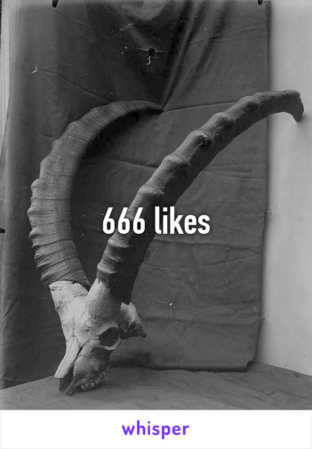 666 likes