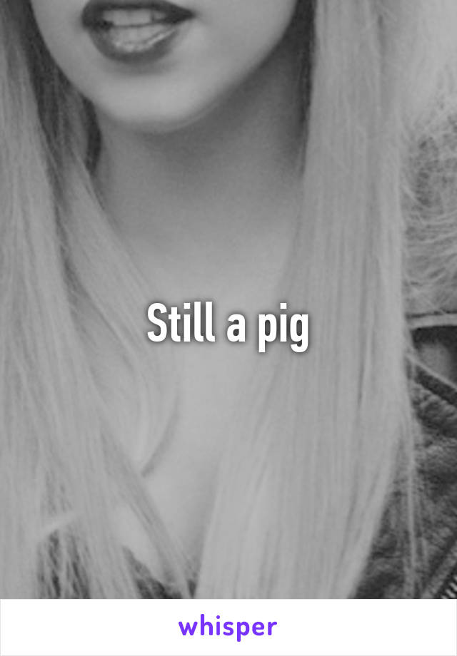 Still a pig